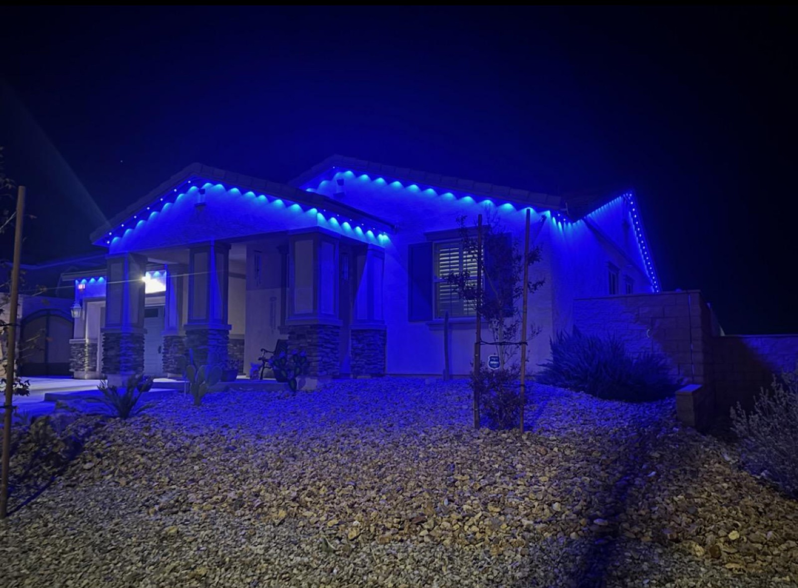 Real Lights and Palms install with blue permanent outdoor lighting across the roofline